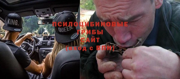 сатива Липки