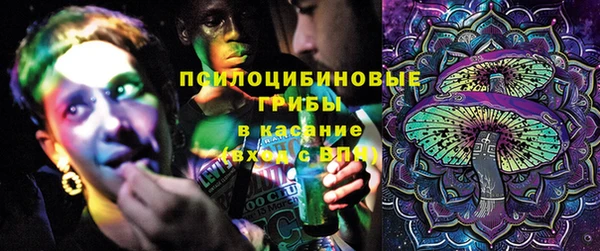сатива Липки