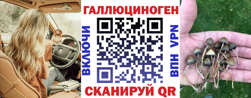 Купить закладки  Салехард  Галлюциногенные грибы Cubensis 